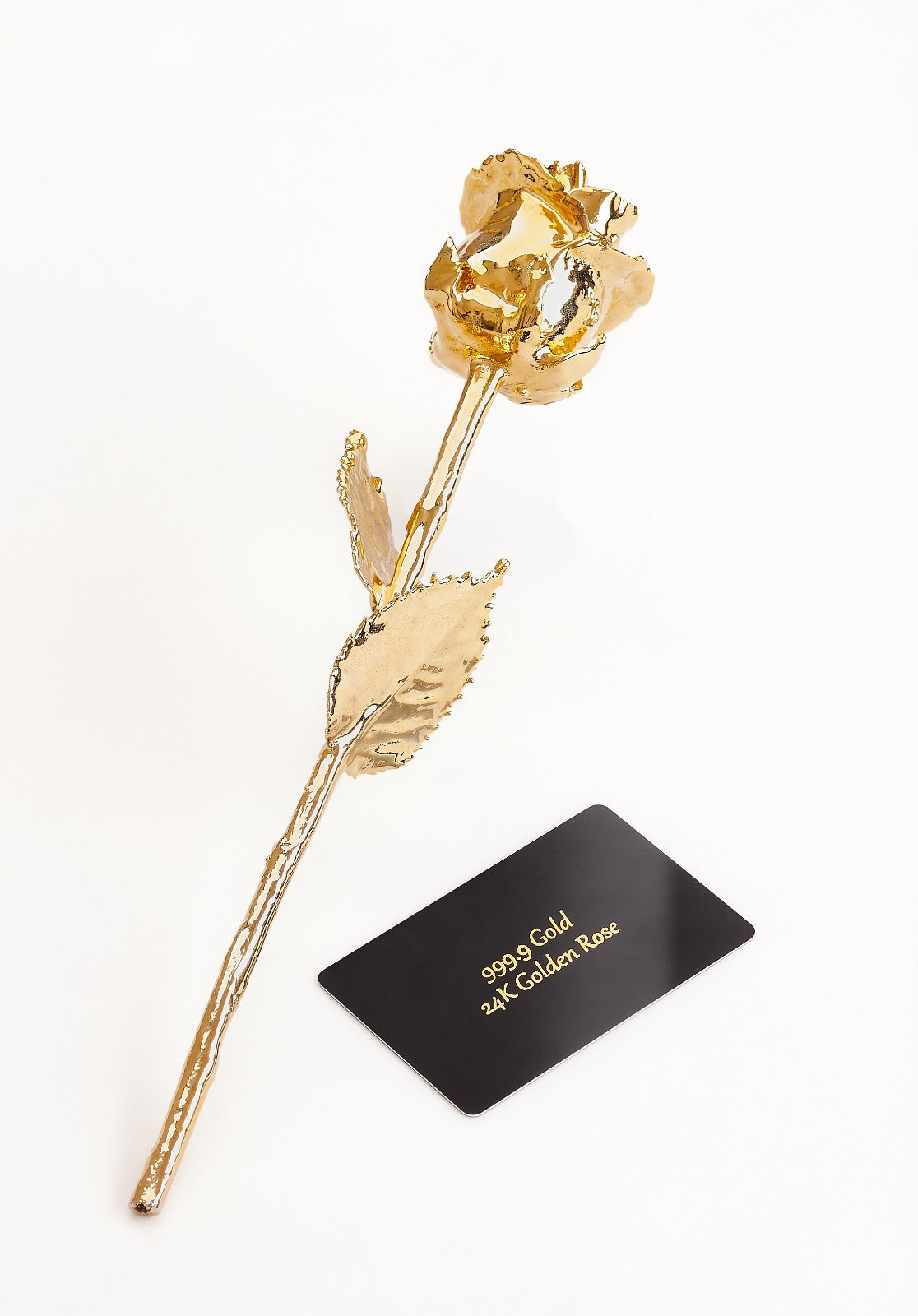 24K Gold Forever Rose