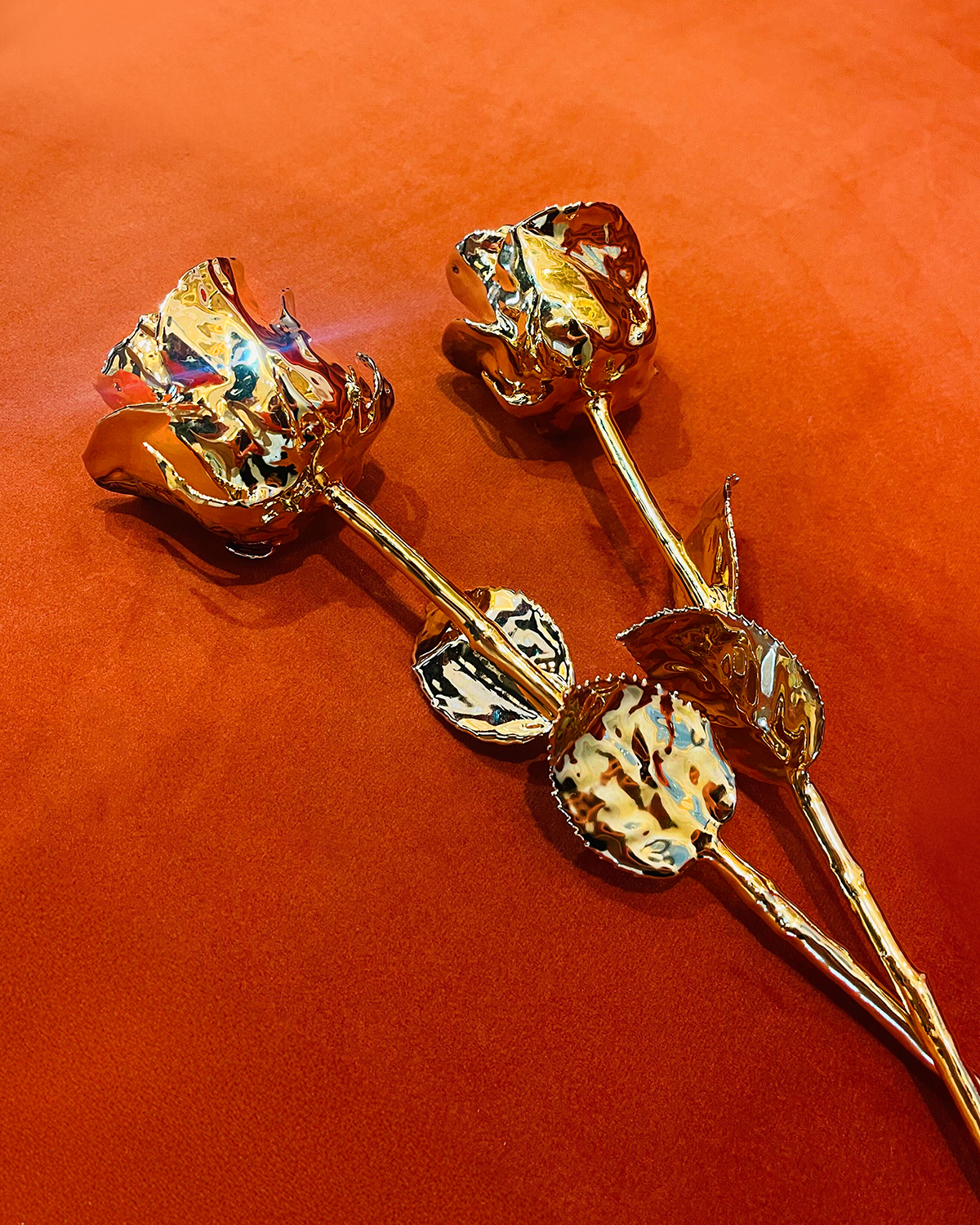 24K Gold Forever Rose