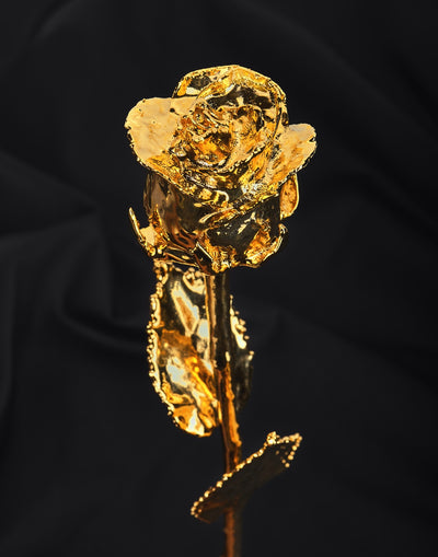 24K Gold Forever Rose