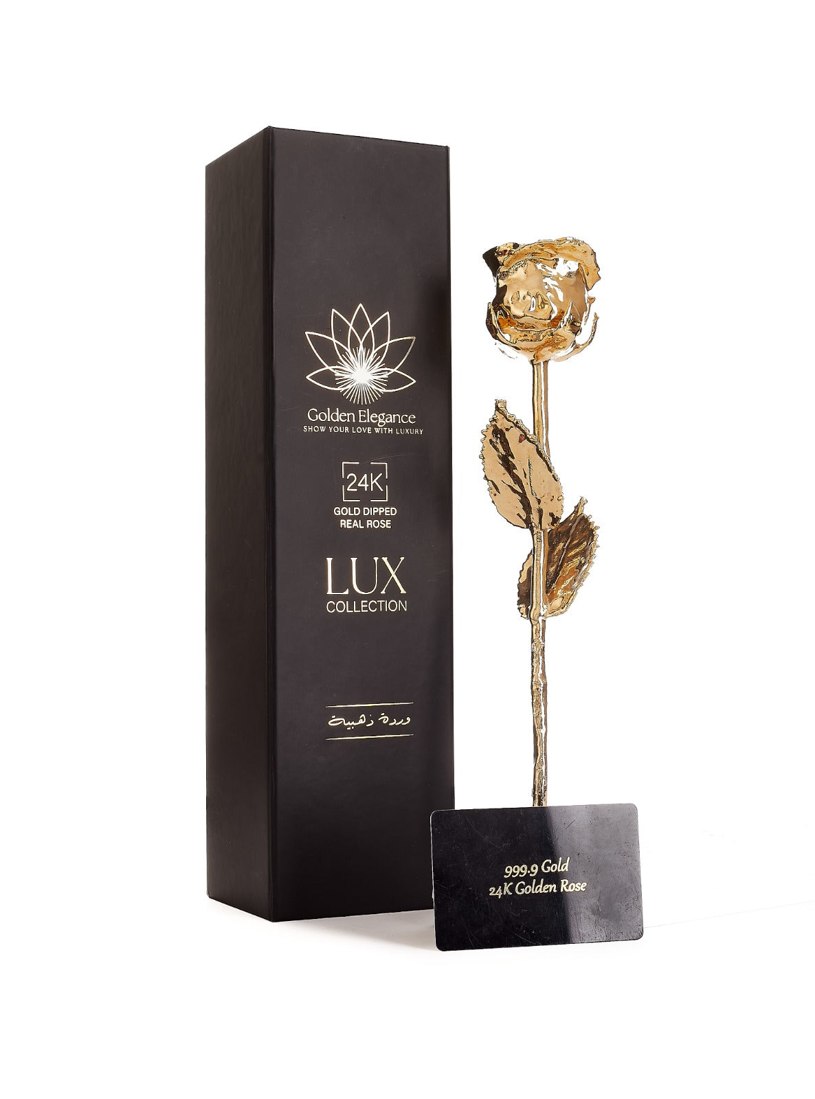 24K Gold Forever Rose